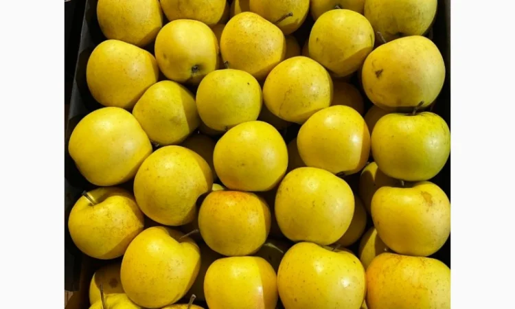 Продам яблоко - фото № 4