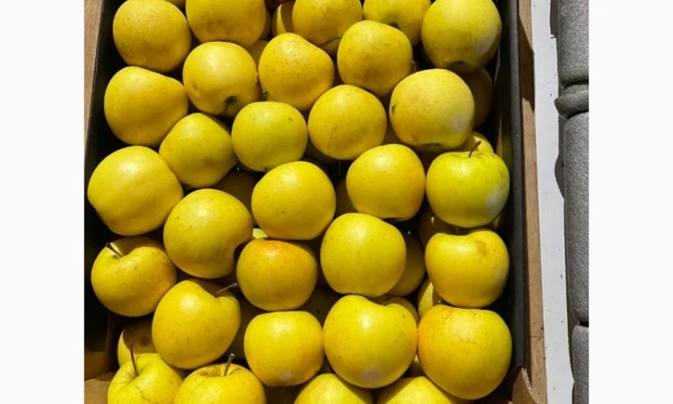 Продам яблоко - фото № 6