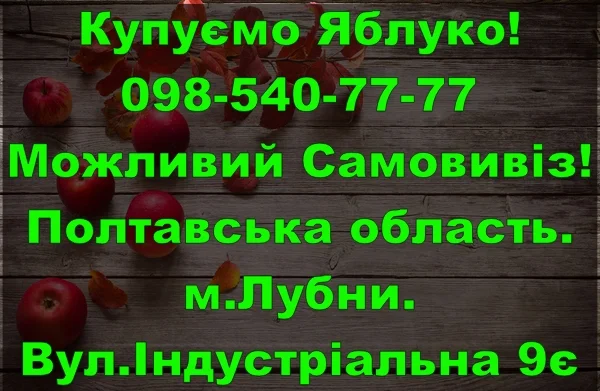На постійній основі закуповую яблуко дрібним та великим оптом від населення і заготувачів - фото № 1