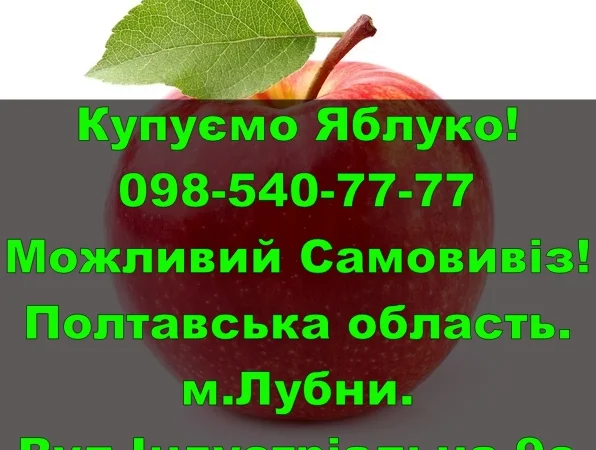 Підприємство на постійній основі закуповує яблуко дрібним та великим оптом - фото № 1