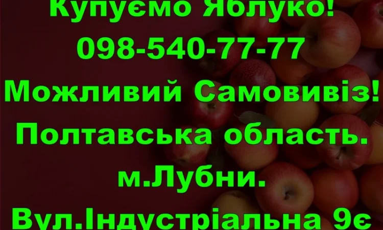 На постійній основі закуповуємо яблуко врожаю 2024року!Дорого - фото № 1