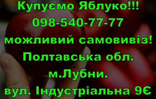 На постійній основі купуємо яблуко - фото № 1