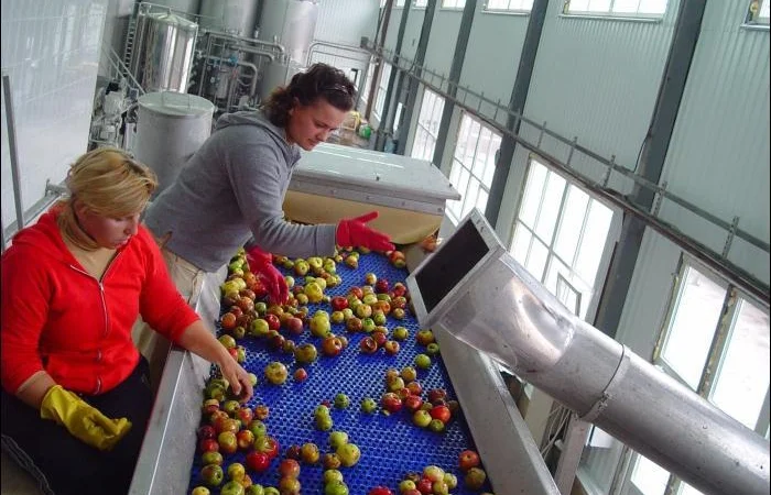 Закупаем яблоко на переработку - фото № 1