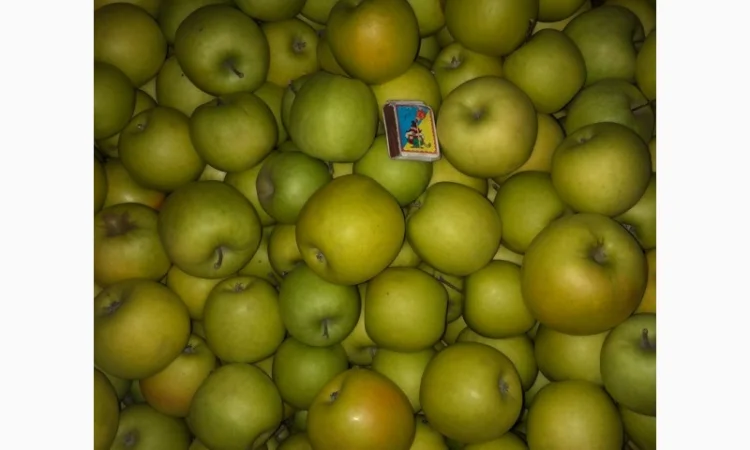Продам яблука - фото № 4