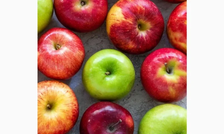 Купимо яблука на сік оптом від 20 тон - фото № 1