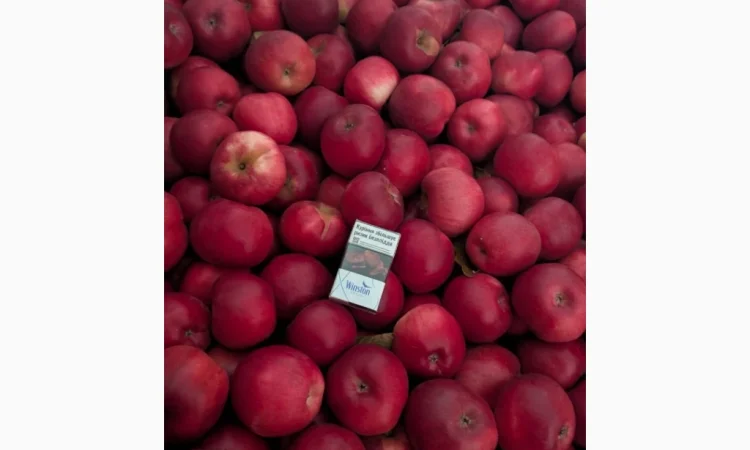 Продаються яблука різних сортів - фото № 5