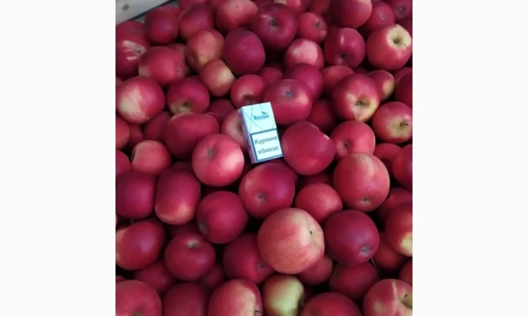 Продам яблука - фото № 3