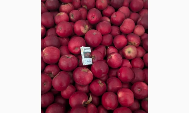 Продаються яблука різних сортів - фото № 2