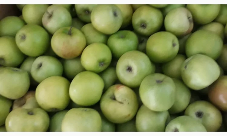 Продам симиренку - фото № 1