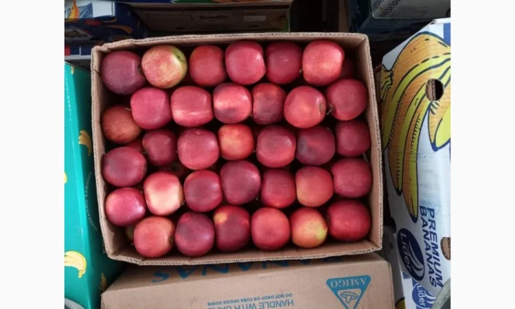 Продам яблука різних сортів - фото № 9