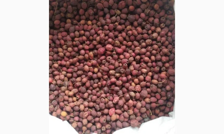 Куплю плоди глоду - фото № 1