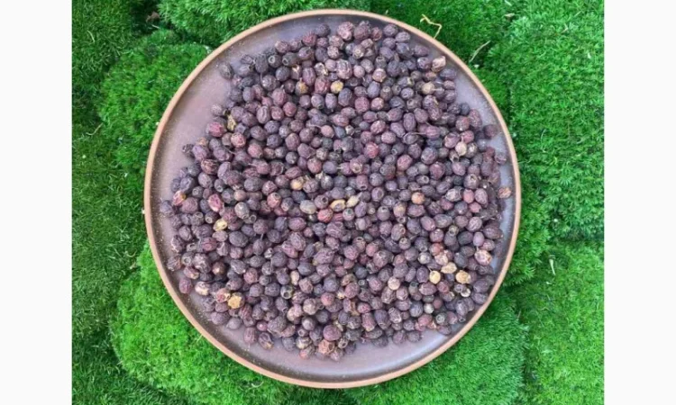 Глід, ягоды глоду, боярышник, ягода - фото № 1