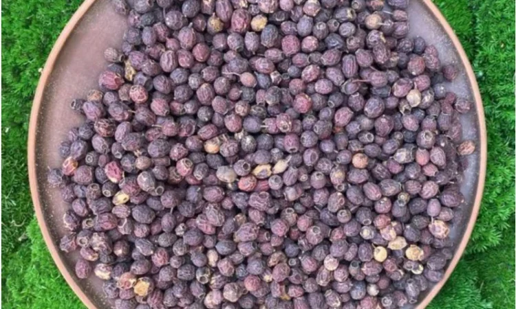 Глід, ягоды глоду, боярышник, ягода - фото № 2