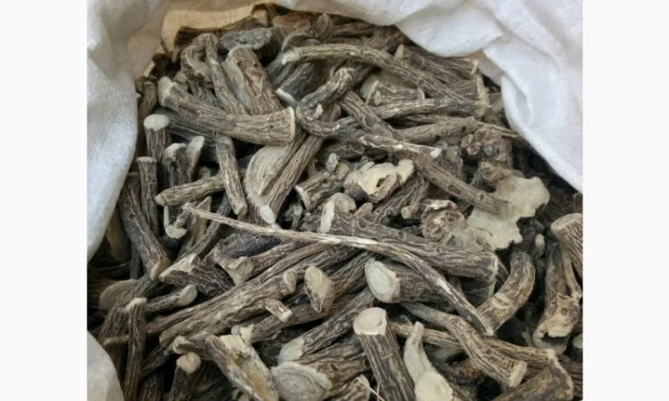 Закупаем по Украине корни, травы, боярышника цвет с листом, цвет бузины, липы - фото № 1