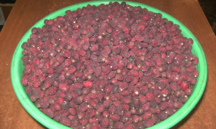 Ягоды боярышника (глоду), сушеные, недорого - фото № 1