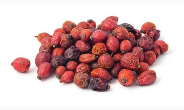 Продам плоди глоду на постійній основі - фото № 1