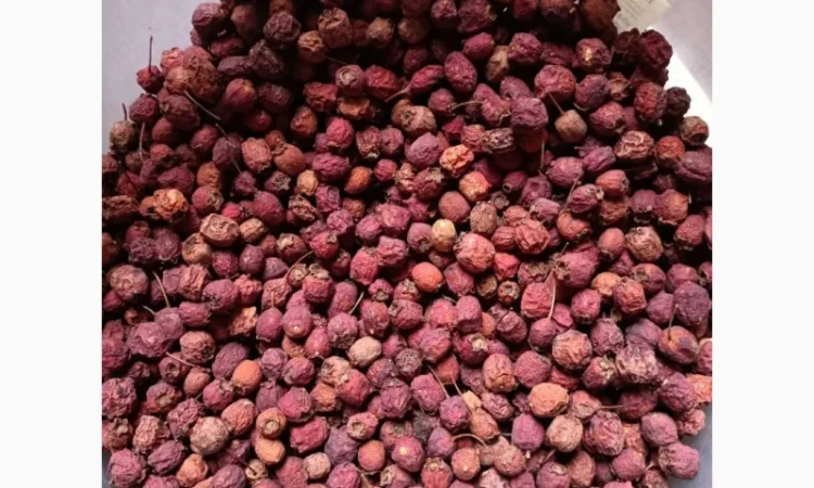 Закупаем Боярышник высушинный по Украине - фото № 1