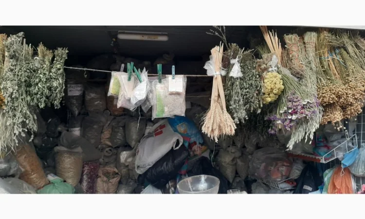 Боярышника (плоды) фасовка от 100 грамм - 1 кг - фото № 2