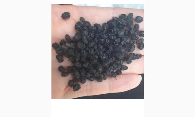 Купим сухую ягоду бузины, красную рябину.Работаем с новой почтой - фото № 1