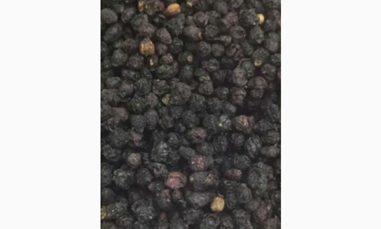 Купуємо суху ягоду бузини - фото № 1