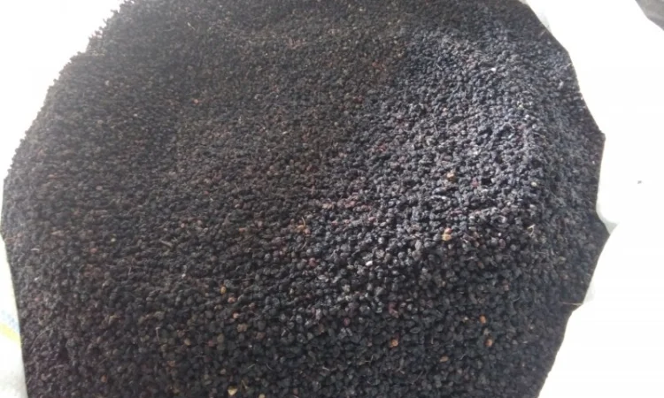 Суха ягода бузини - фото № 1