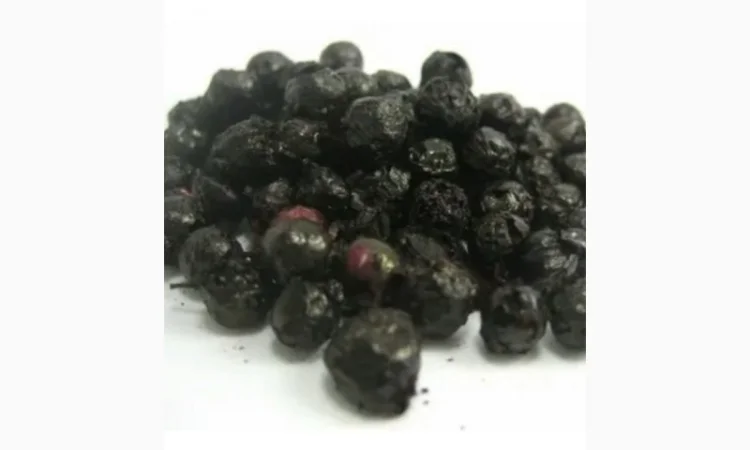 Закупаем Высушенную Ягоду Бузины.Работаем с службами доставки - фото № 1