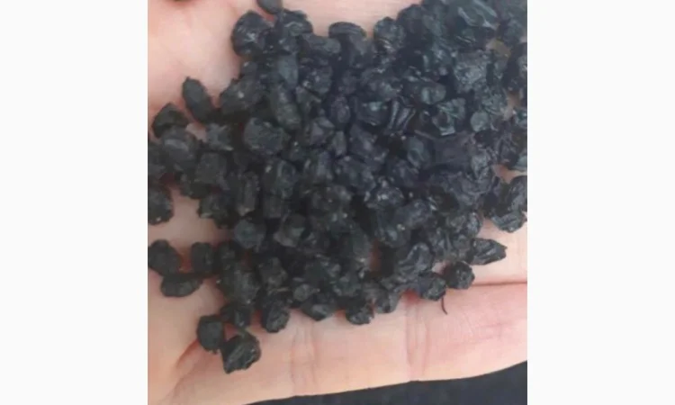 Бузину ягоду сухую Закупаем.Очищеную и неочищеную - фото № 1