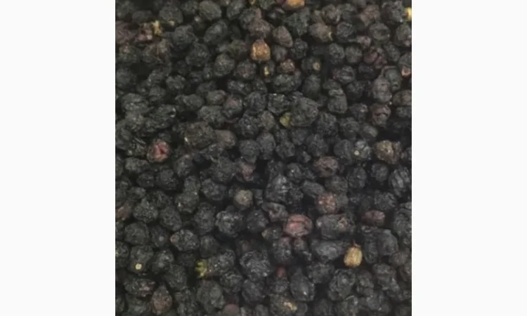 Закупаем Сухую ягоду Бузины.Оплата договорная.Самовывоз от 500кг - фото № 1