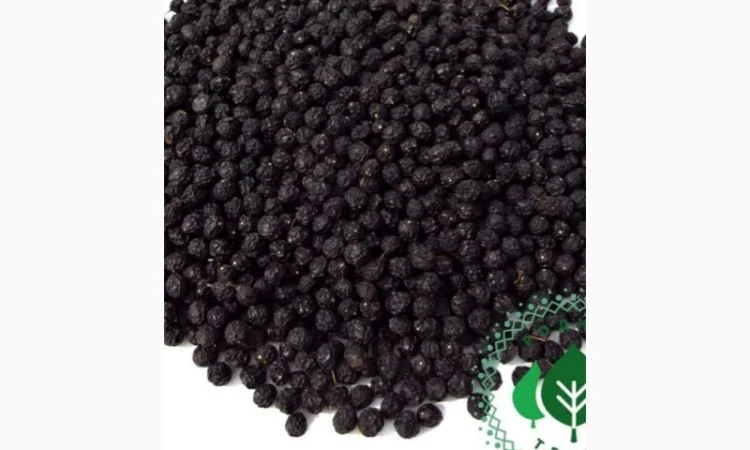 Купим сухую бузину, красную рябину, шиповник.Нужны обьемы - фото № 1