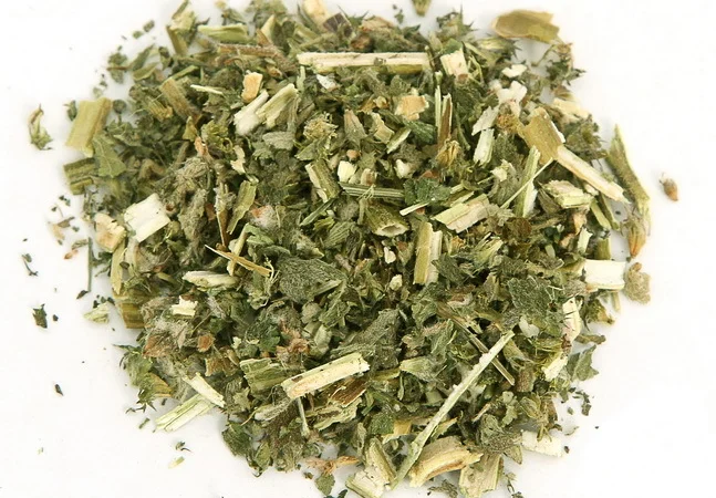 Закупаем цвет бузины, Сушеную ягоду бузины.красную рябину.шиповник.вся Украина.самовывоз - фото № 1