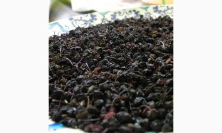 Закупаем Ягоду БУЗИНЫ, цвет бузины и липы сухой.Крупный и мелкий опт - фото № 2