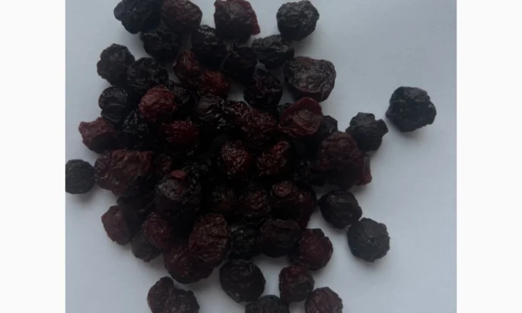 Продам вишні з кісточкою сушені урожай 2024 - фото № 1