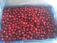 Вишня замороженная без косточки - фото № 2