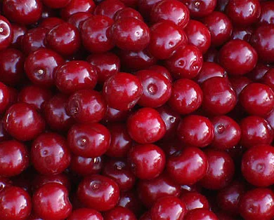 Вишня заморожена з кісткою куплю - фото № 1