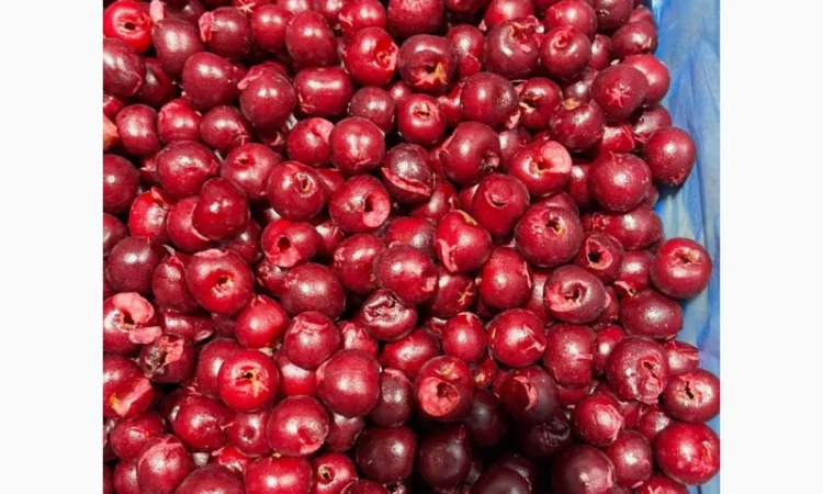 Пропонується вишня без кісточок, шокова заморозка - фото № 1