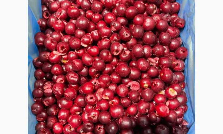 Пропонується вишня без кісточок, шокова заморозка - фото № 3