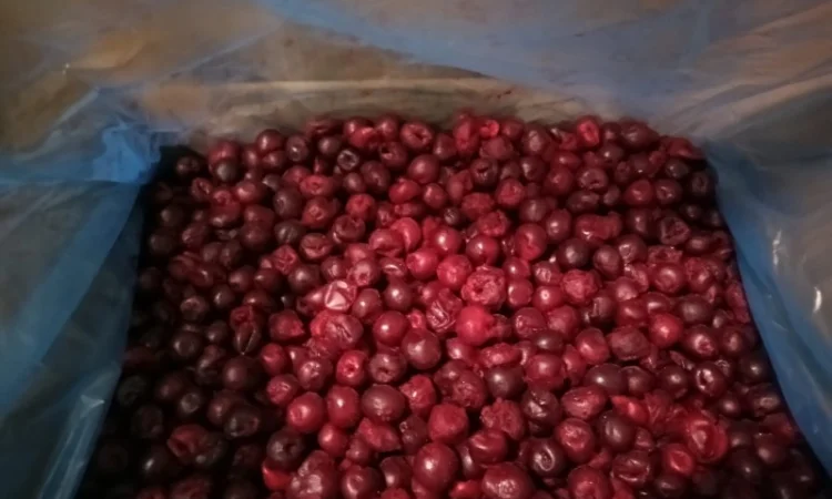 Продам вишня б/к шокова заморозка - фото № 2