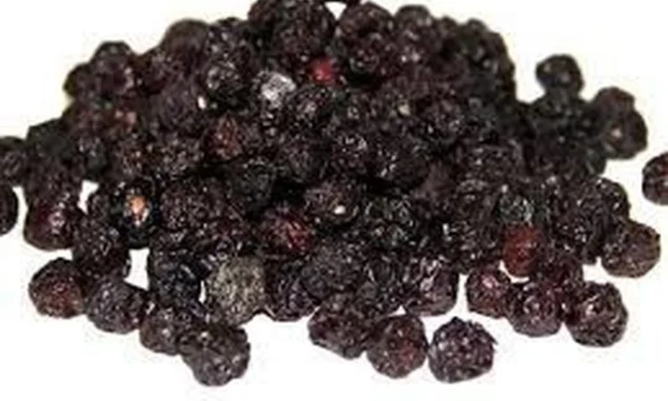 Продам сушеную вишню, крупным оптом - фото № 1