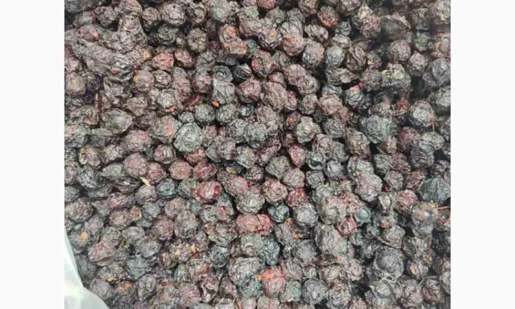 Продам сушену вишню - фото № 1