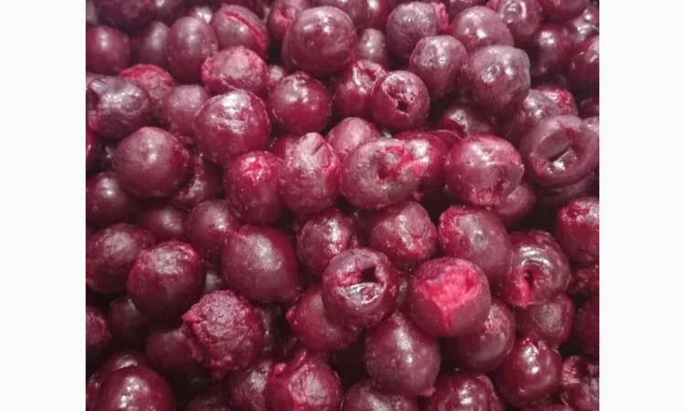 Продам заморожену вишню з кісткою та без, від 1 тони - фото № 1