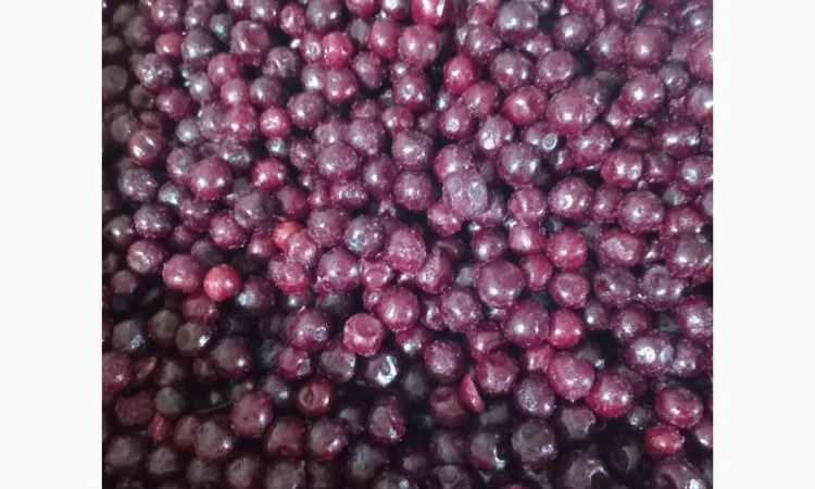 Продам замороженную вишню с косточкой и без - фото № 1