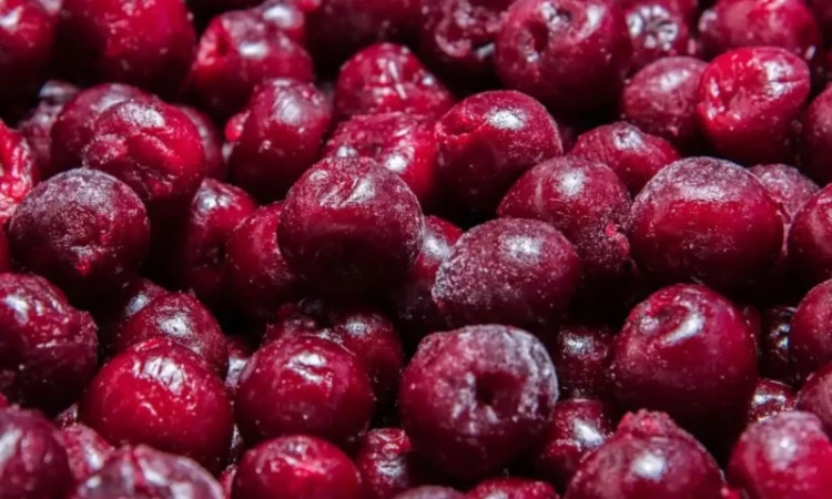 Продам вишню, сорт лутовка, без кістки - фото № 1