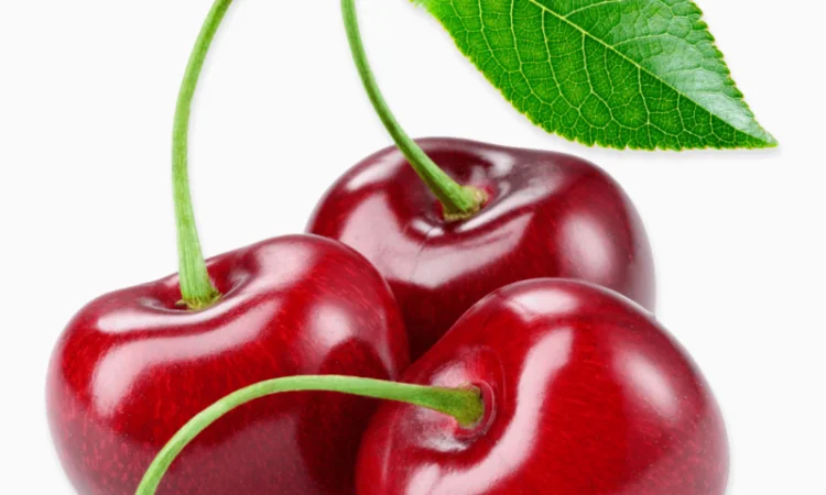 Куплю вишню 2025 года оптом - фото № 1