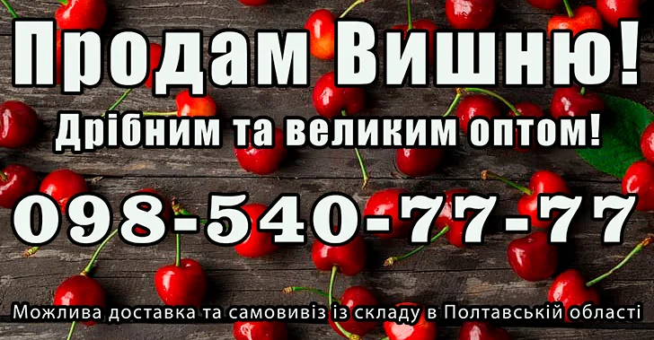 Продаю вишню, великим та малим оптом - фото № 1