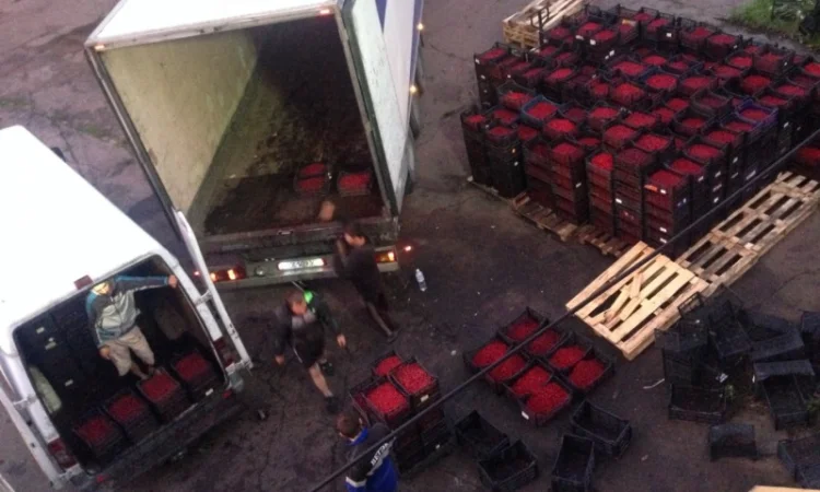 Куплю вишню - фото № 1