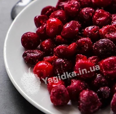 Продам Вишню свіжу і заморожену - фото № 2