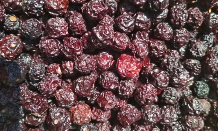 Продам сушенную вишню - фото № 2