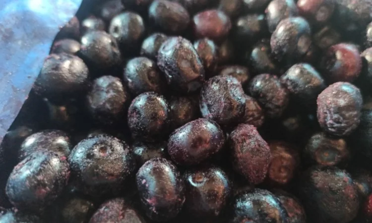 Куплю лохину заморожену - фото № 1