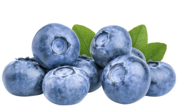 Куплю лохину заморожену - фото № 1