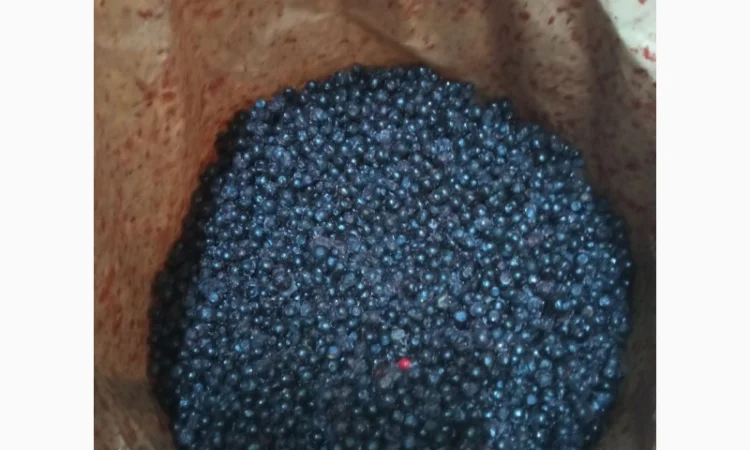 Лохина заморожена лісова Б-клас - фото № 1